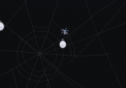 A white silk egg sack hanging beneath a web node, a spider standing guard above it
